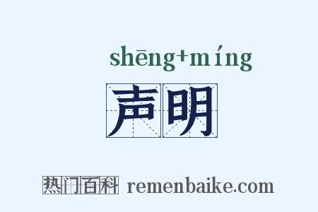 声明是什么意思的图片